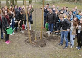 Schüler beweisen „ein Herz für Bäume“