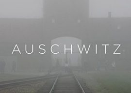 Auschwitz-Expertin Dr. Willems zu Besuch in der 10a und 10c